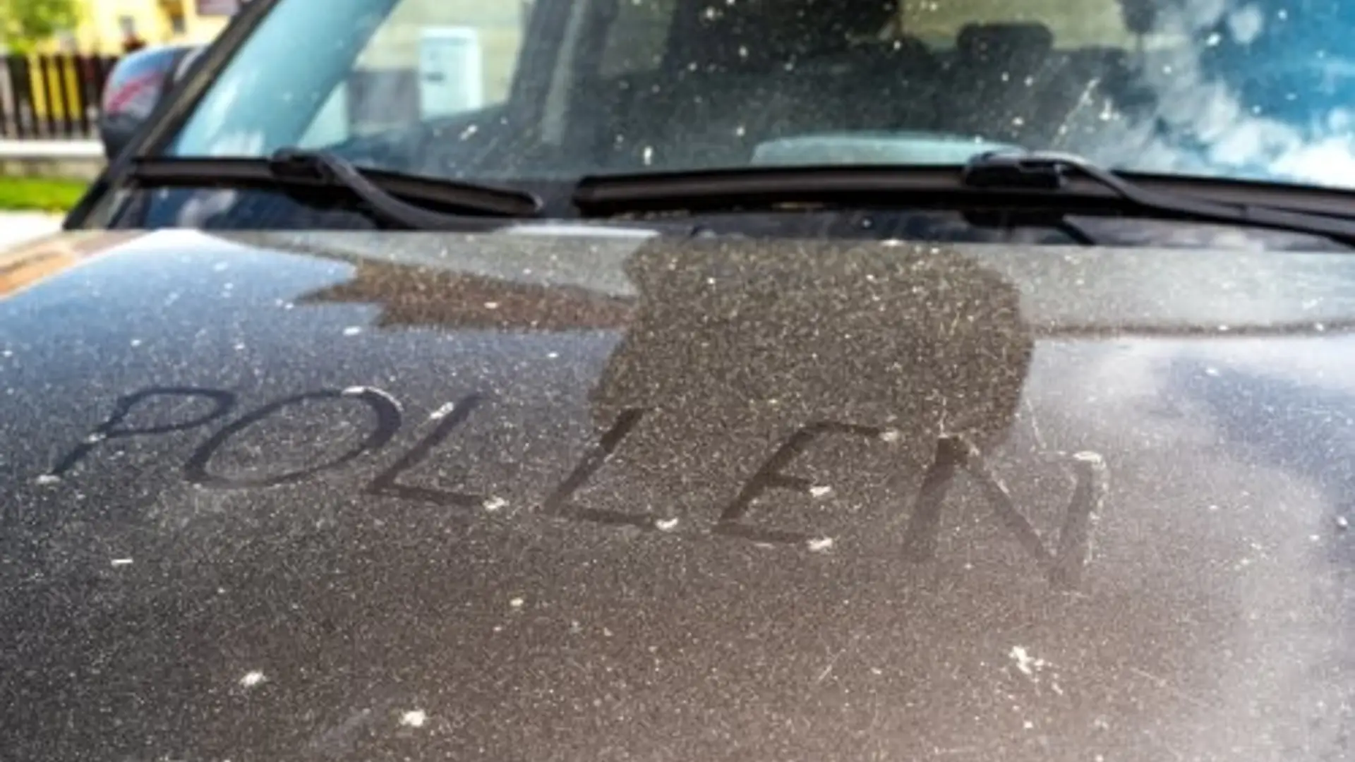 Pollen im und am Auto: Wie schädlich ist das fürs Fahrzeug?