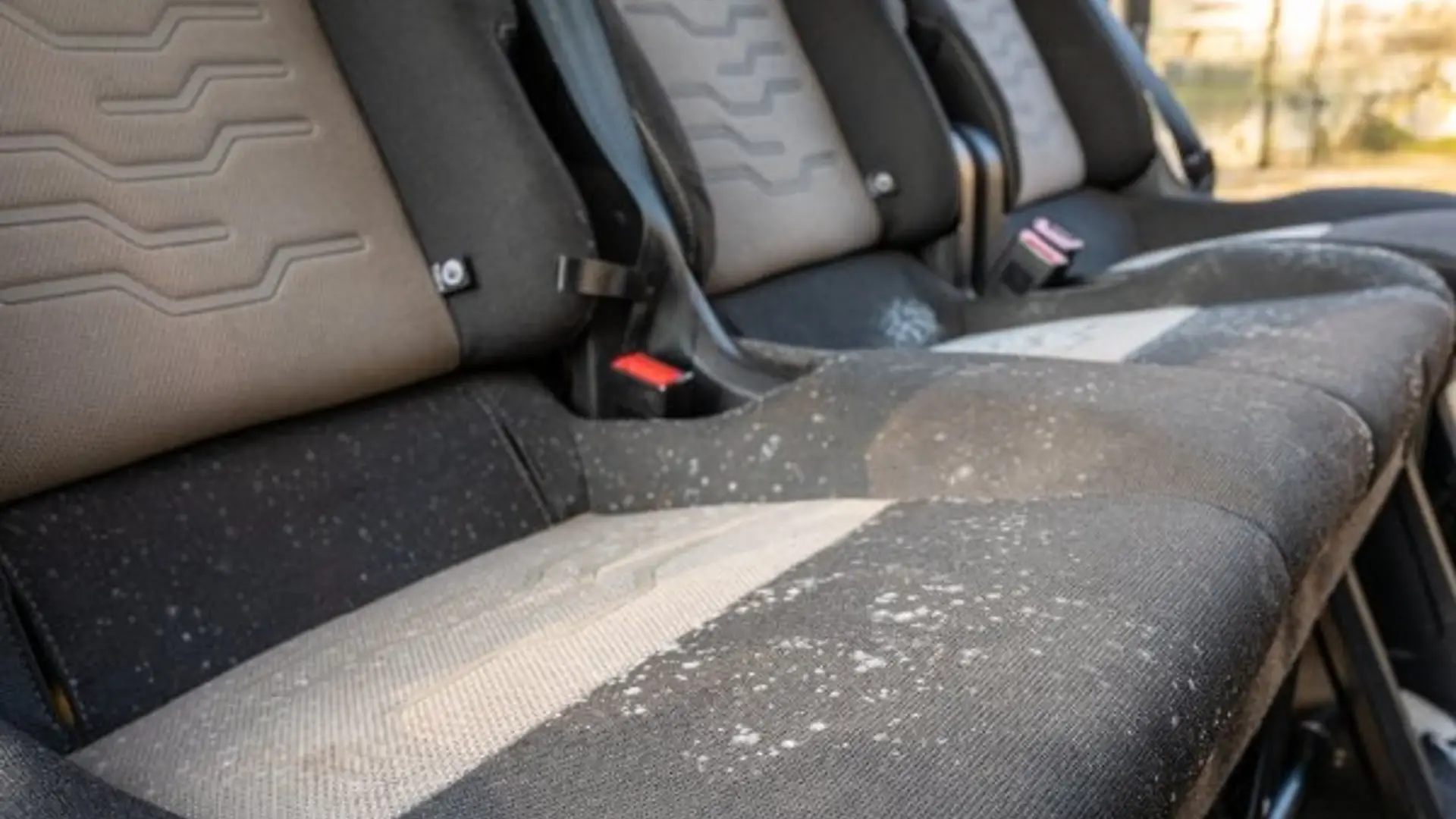 Schimmel im Auto – Was tun?