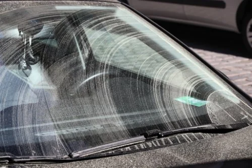 Pollen auf Autoscheibe
