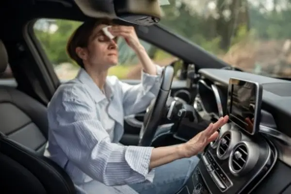 E-Auto Klimaanlage Sommer
