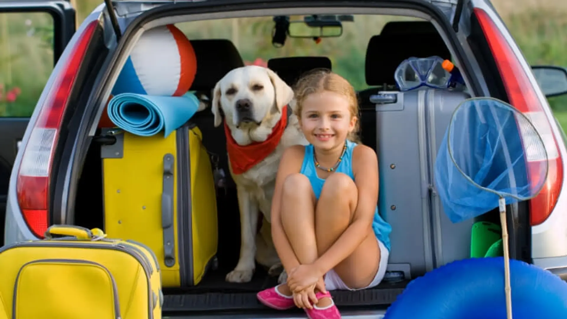 Hund auf Urlaubsfahrt im Auto – das sollten Sie beachten