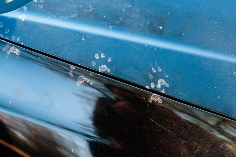Marderspuren Auto