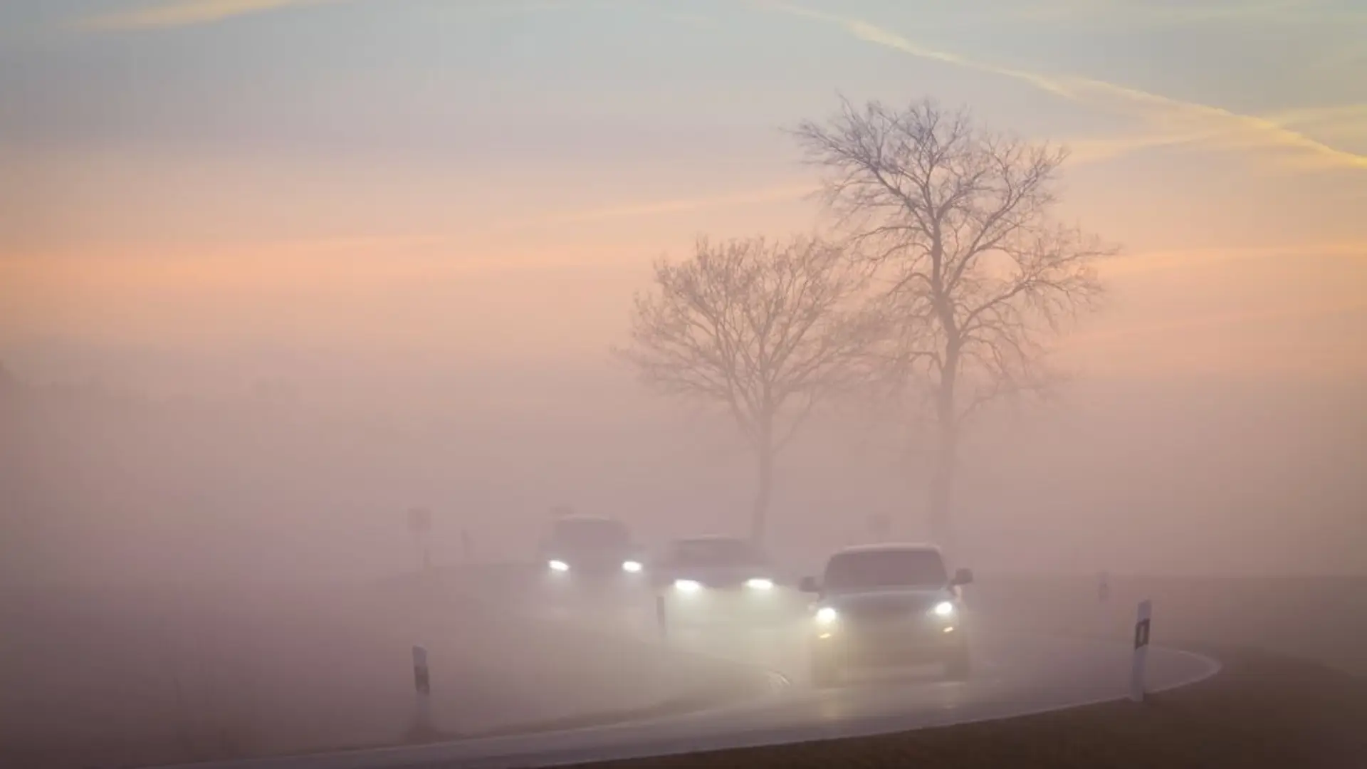 Drei Autos fahren mit eingeschaltetem Licht durch dichten Nebel