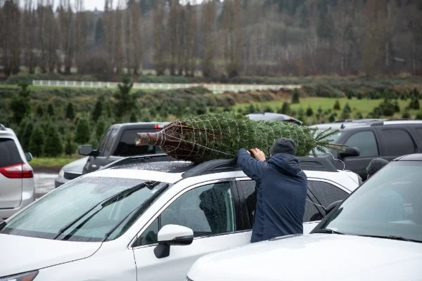Mann befestigt Weihnachtsbaum an Dachreling vom Auto