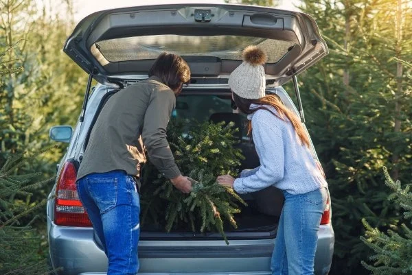 Paar räumt Weihnachtsbaum ins Auto