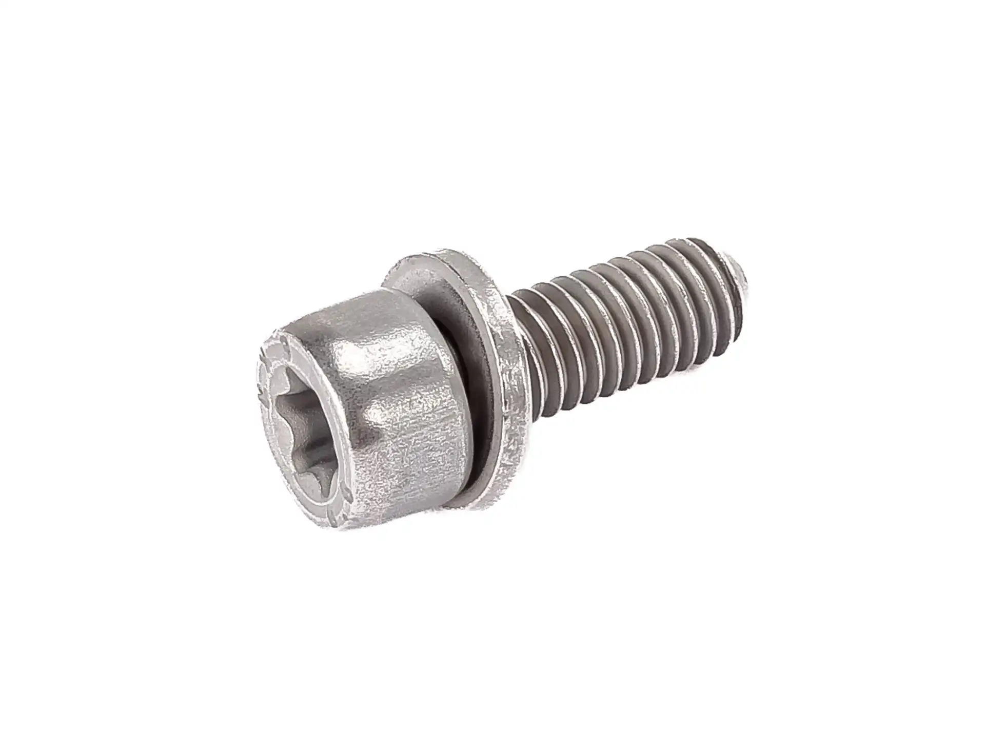 BMW Torxschraube mit Scheibe A40 A67 A73 E53 E60 E61 E63 E64 E65 E66 E70 E71 E72 E83 E90 E92 E93 F01 F02 F04 F06 F07 F10 F11 F12 F13 F15 F16 F20 F21 F22 F23 F25 F26 F30 F31 F32 F33 F34 F36 F39 F44 F45 F46 F48 F80 F82 F83 F85 F86 F87N F90 F91 F92 F93 F95 F