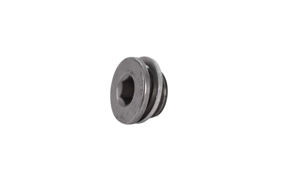 BMW Verschlussschraube mit Dichtring E46 E60 E61 E81 E82 E83 E84 E85 E87 E88 E90 E91 E92 E93 R55 R56 R57 R58 R59 R60 R61 11117558633