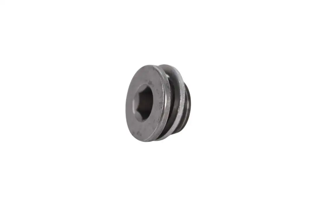 BMW Verschlussschraube mit Dichtring E46 E60 E61 E81 E82 E83 E84