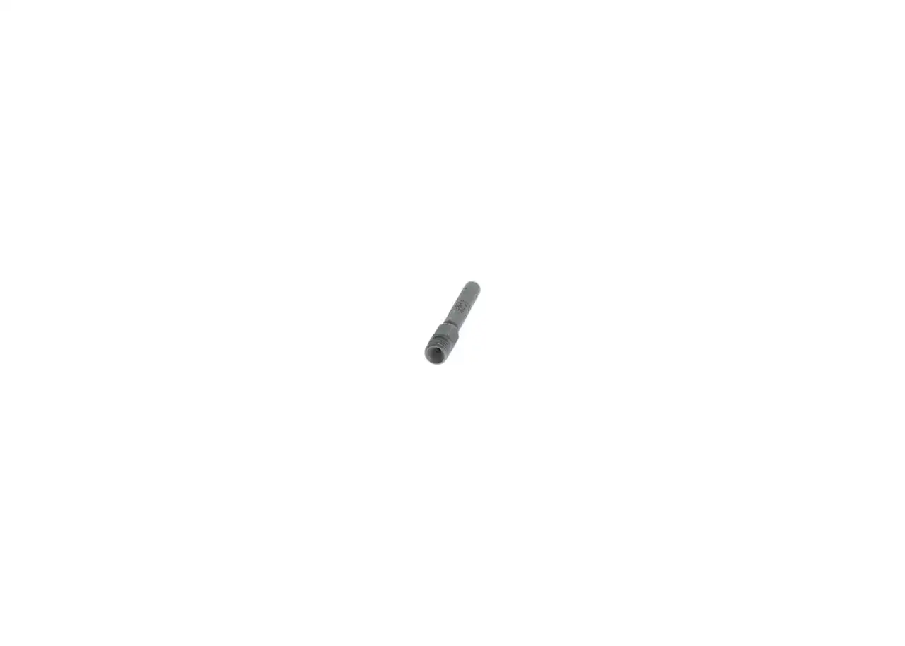 BOSCH Einspritzventil 3165142730929