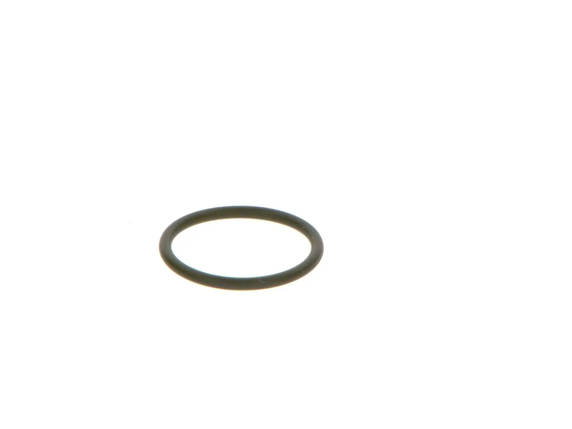 BOSCH Dichtring 3165143274743