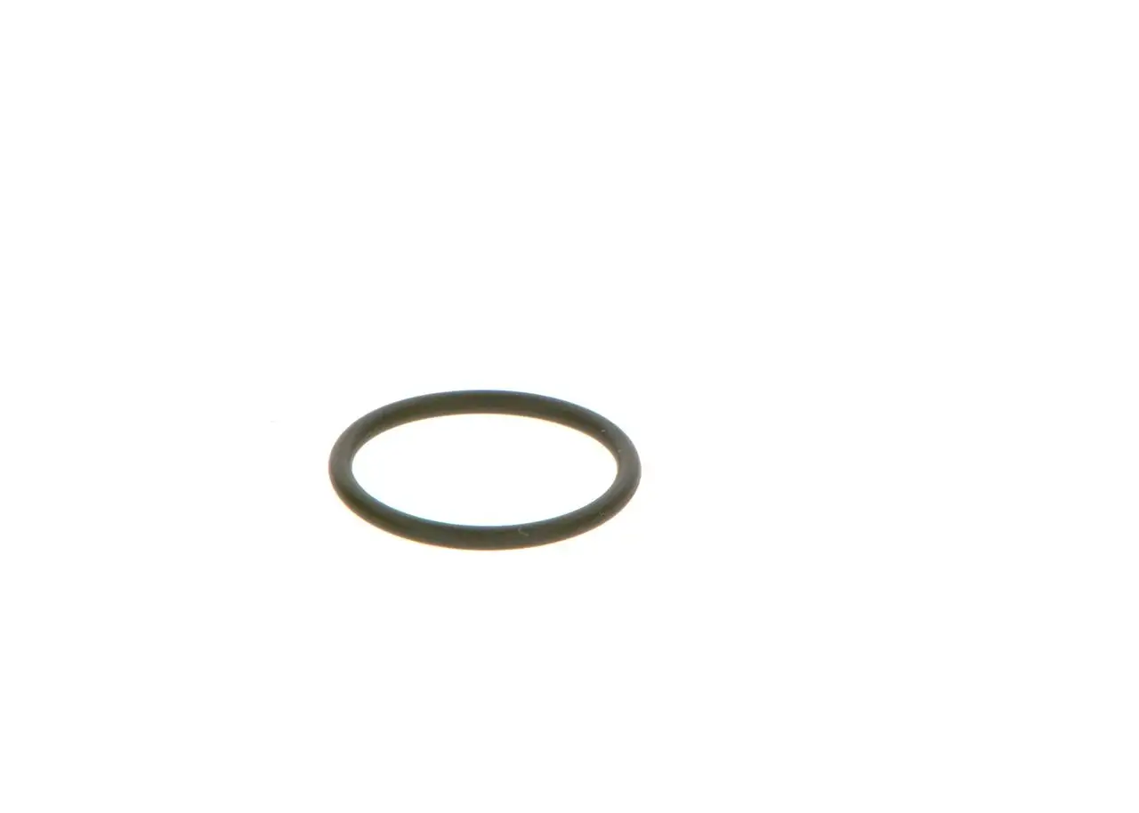 BOSCH Dichtring 3165143274743