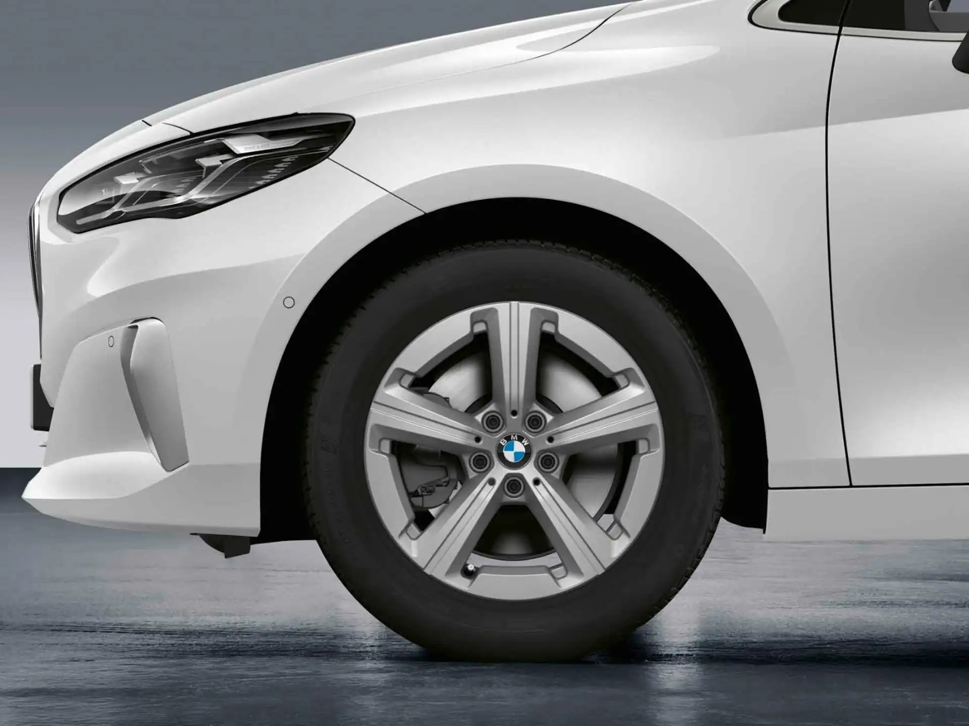 BMW Winterkompletträder Sternspeiche 875 lightning grey 17 Zoll RDCi 2er U06