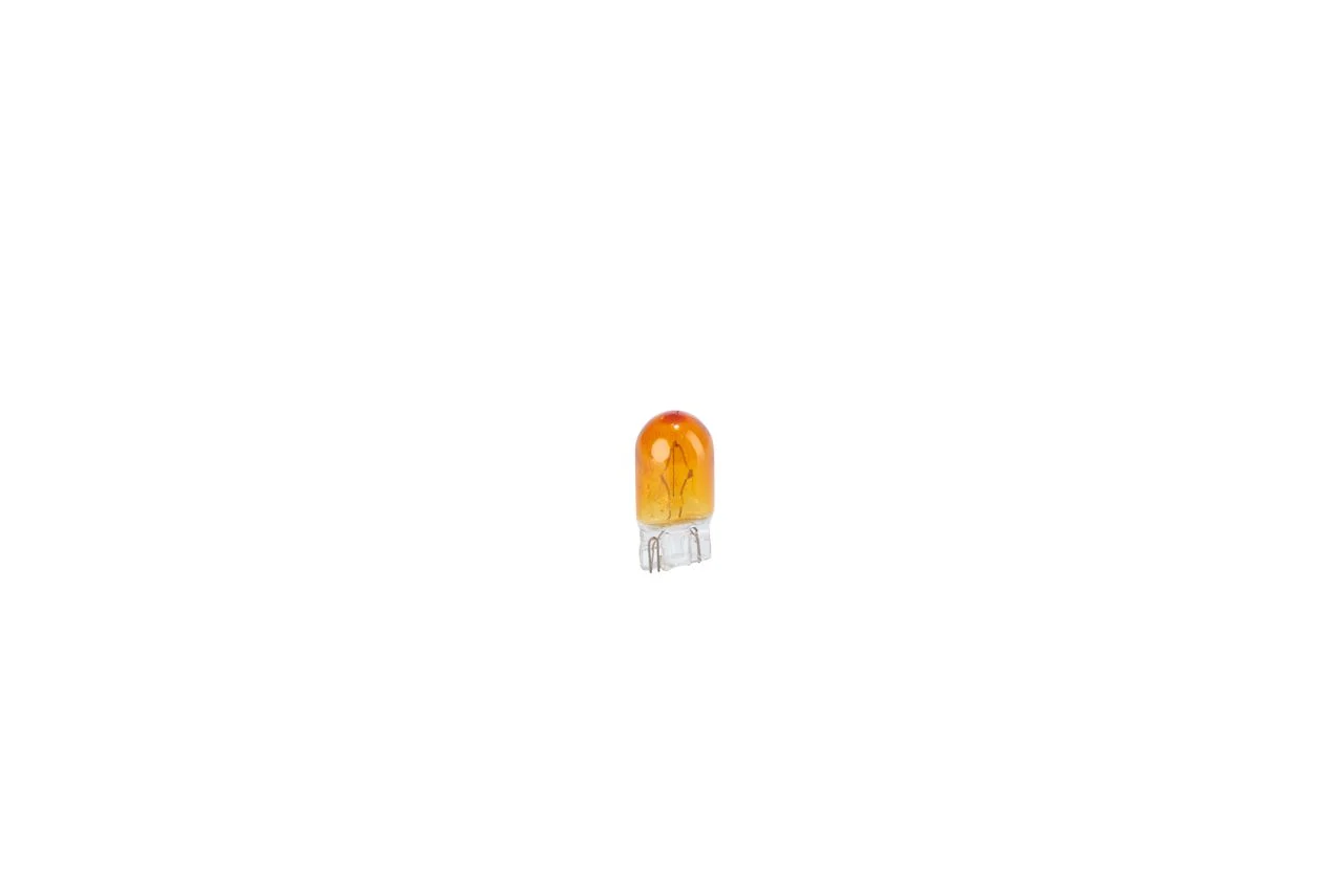 BOSCH Glühlampe, Leseleuchte 3165141239256