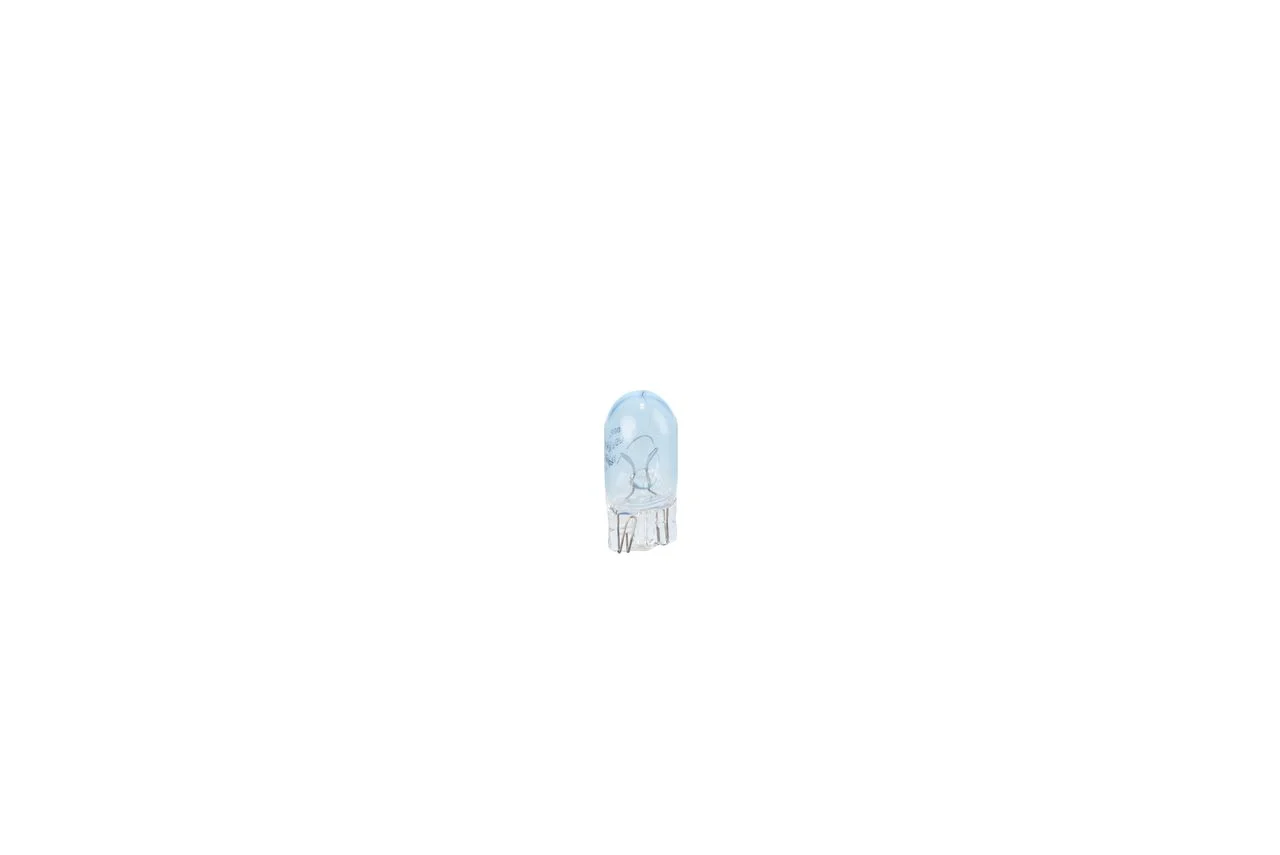 BOSCH Glühlampe, Kennzeichenleuchte 3165143234907