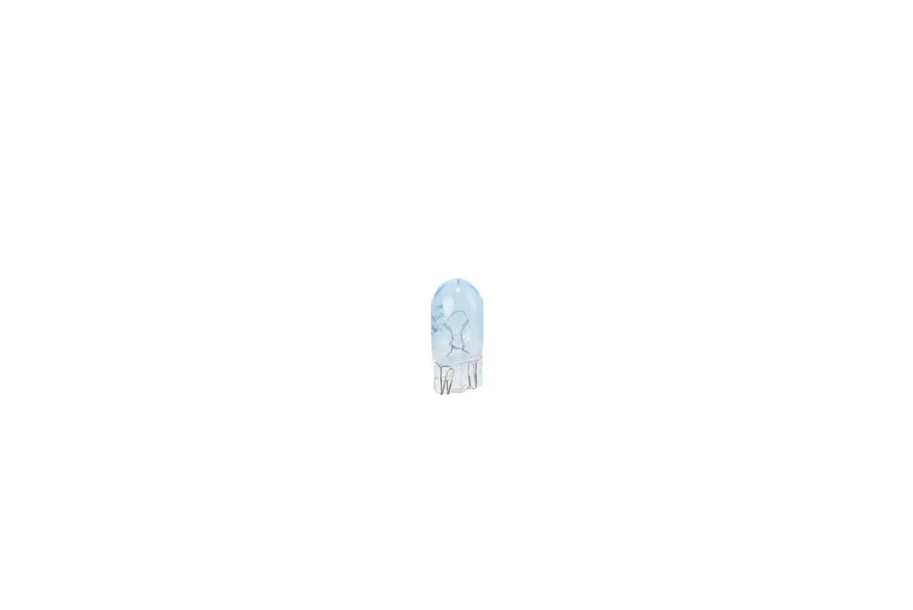 BOSCH Glühlampe, Kennzeichenleuchte 3165143234907