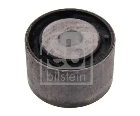 FEBI BILSTEIN Lagerung, Differential IFEN10843