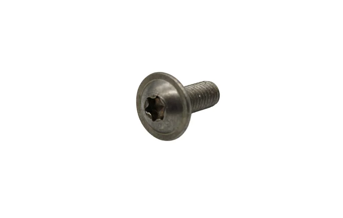 BMW Linsenschraube K25H K26 K27 K28 K29 K40 K42 K43 K44 K46 K47 K48 K52 K61 K70 K71 K72 K73 46637657650