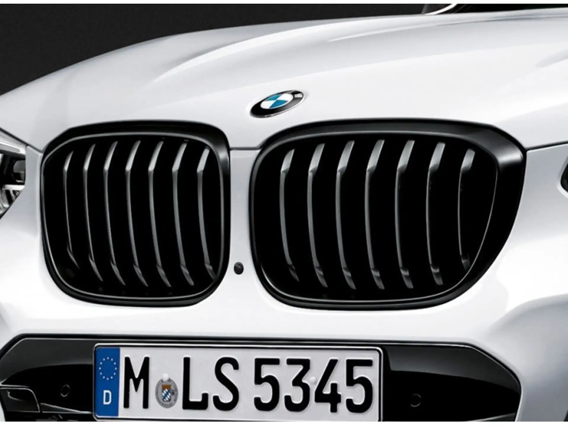 BMW M Performance Frontziergitter X3 G01