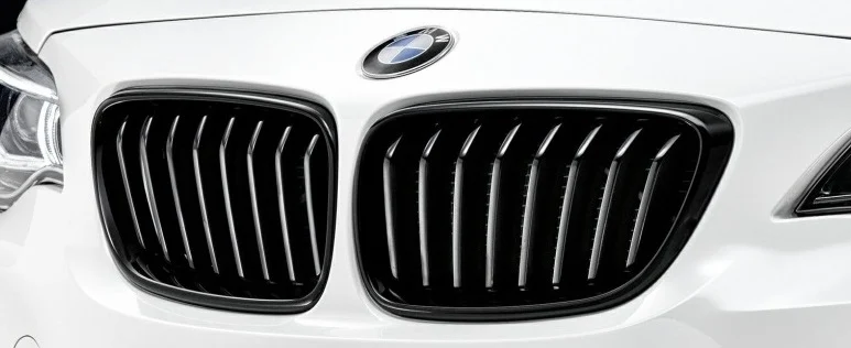 BMW M Performance Frontziergitter schwarz Z4 E89