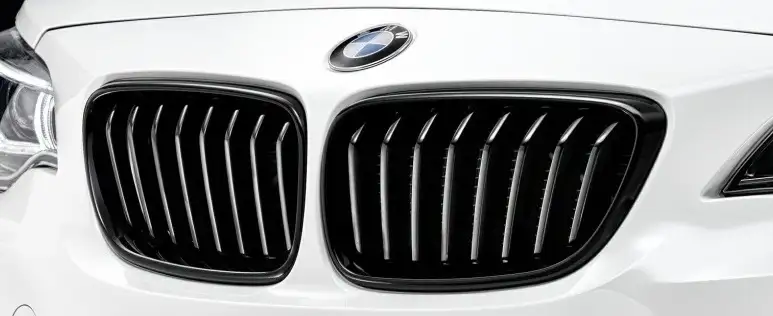 BMW M Performance Frontziergitter schwarz Z4 E89