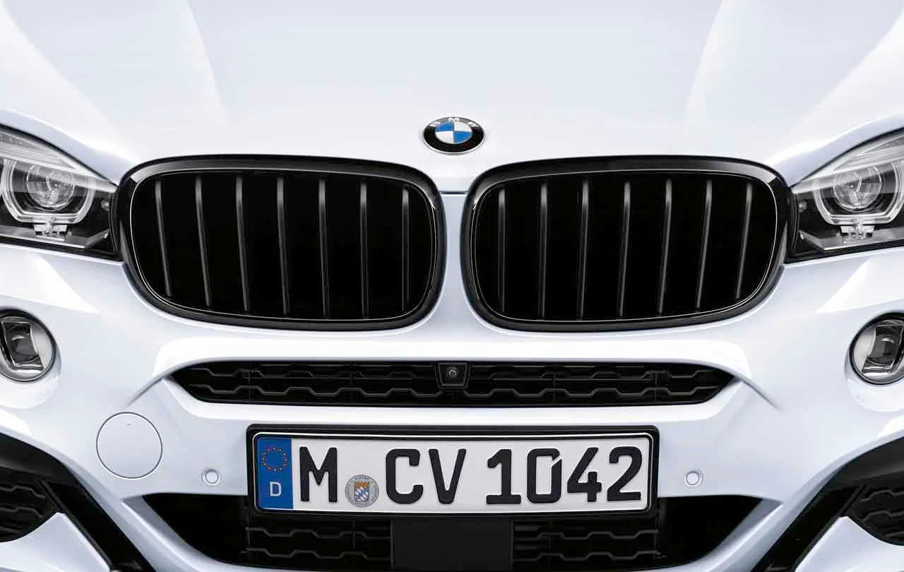 BMW M Performance Frontziergitter Schwarz X5 F15 X6 F16