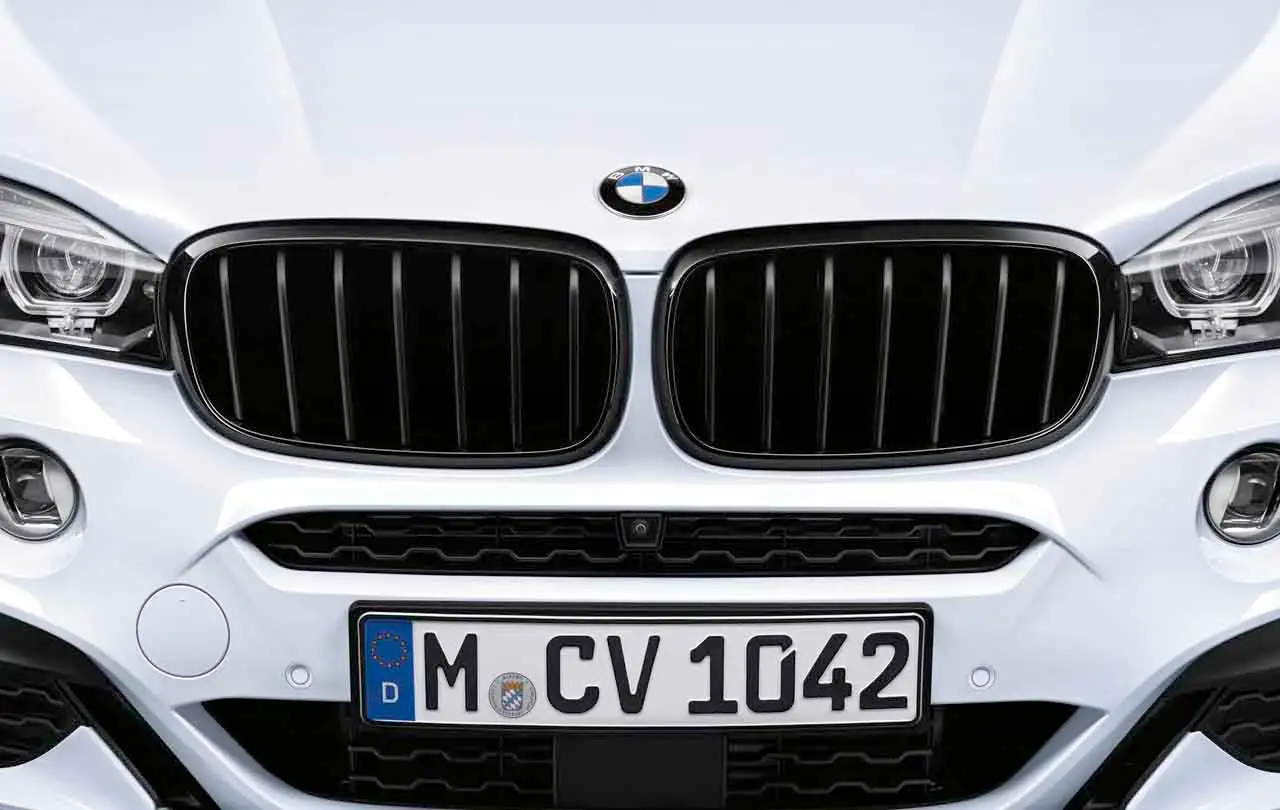 BMW M Performance Frontziergitter Schwarz X5 F15 X6 F16