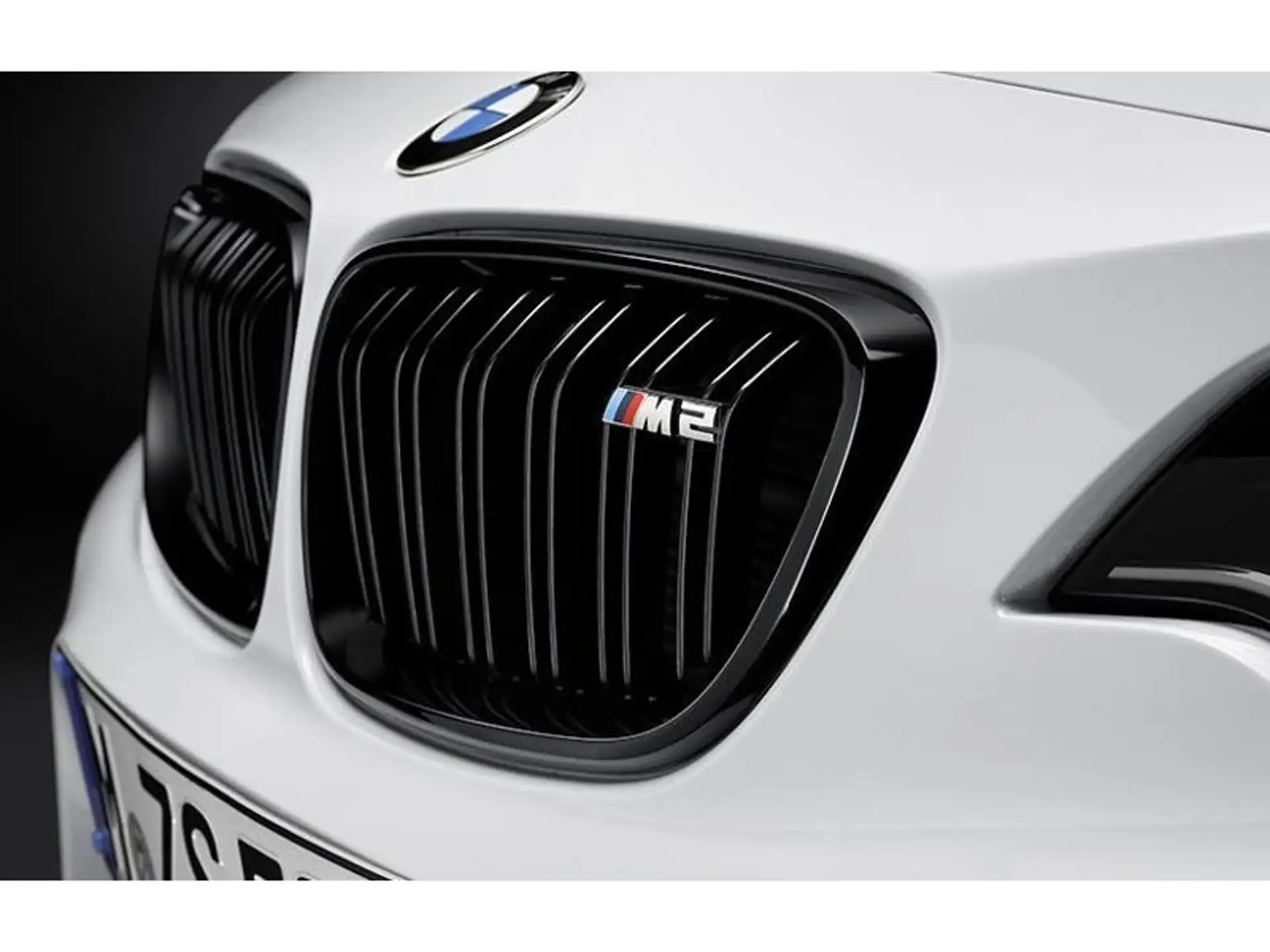 BMW M Performance Frontziergitter M2 F87
