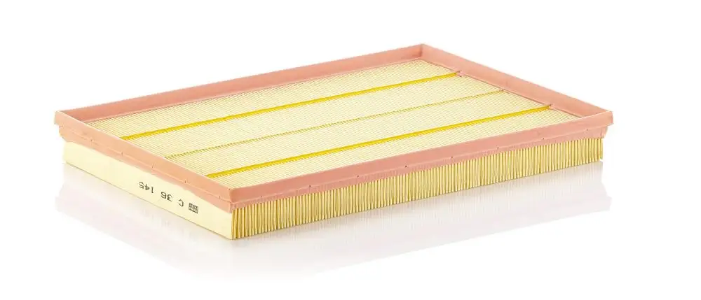 MANN-FILTER Luftfilter 4011558380601