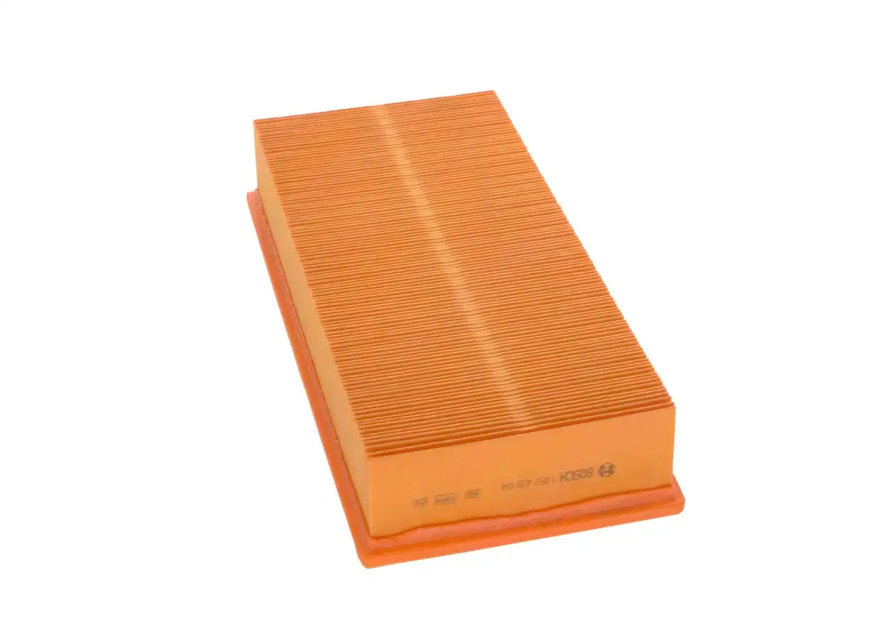 BOSCH Luftfilter 3165141081756