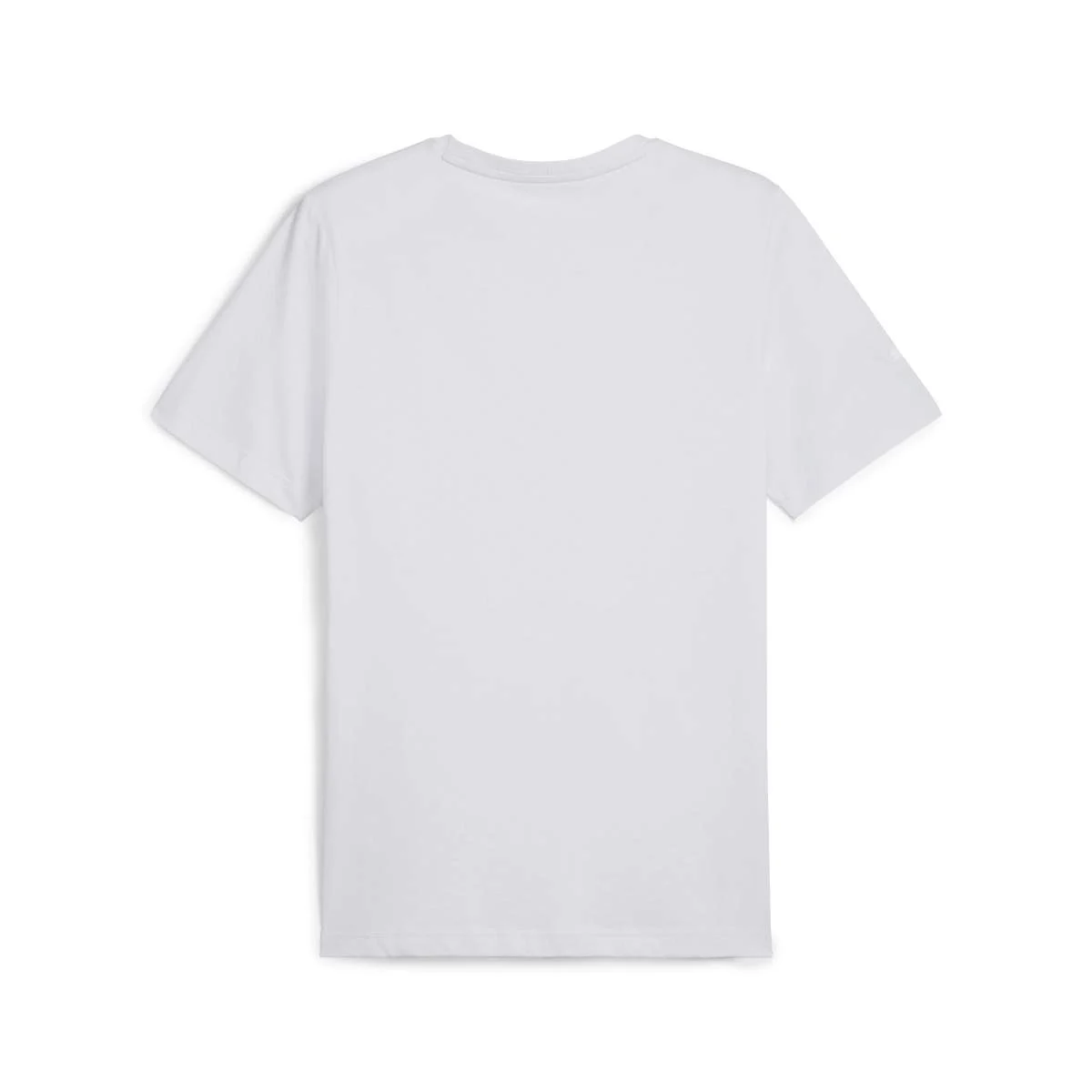 BMW M Motorsport Autografik T-Shirt Herren