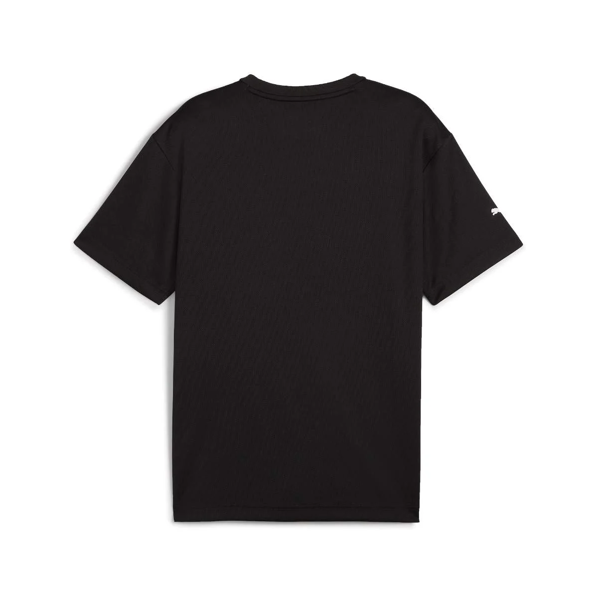 BMW M Motorsport Statement T-Shirt Herren