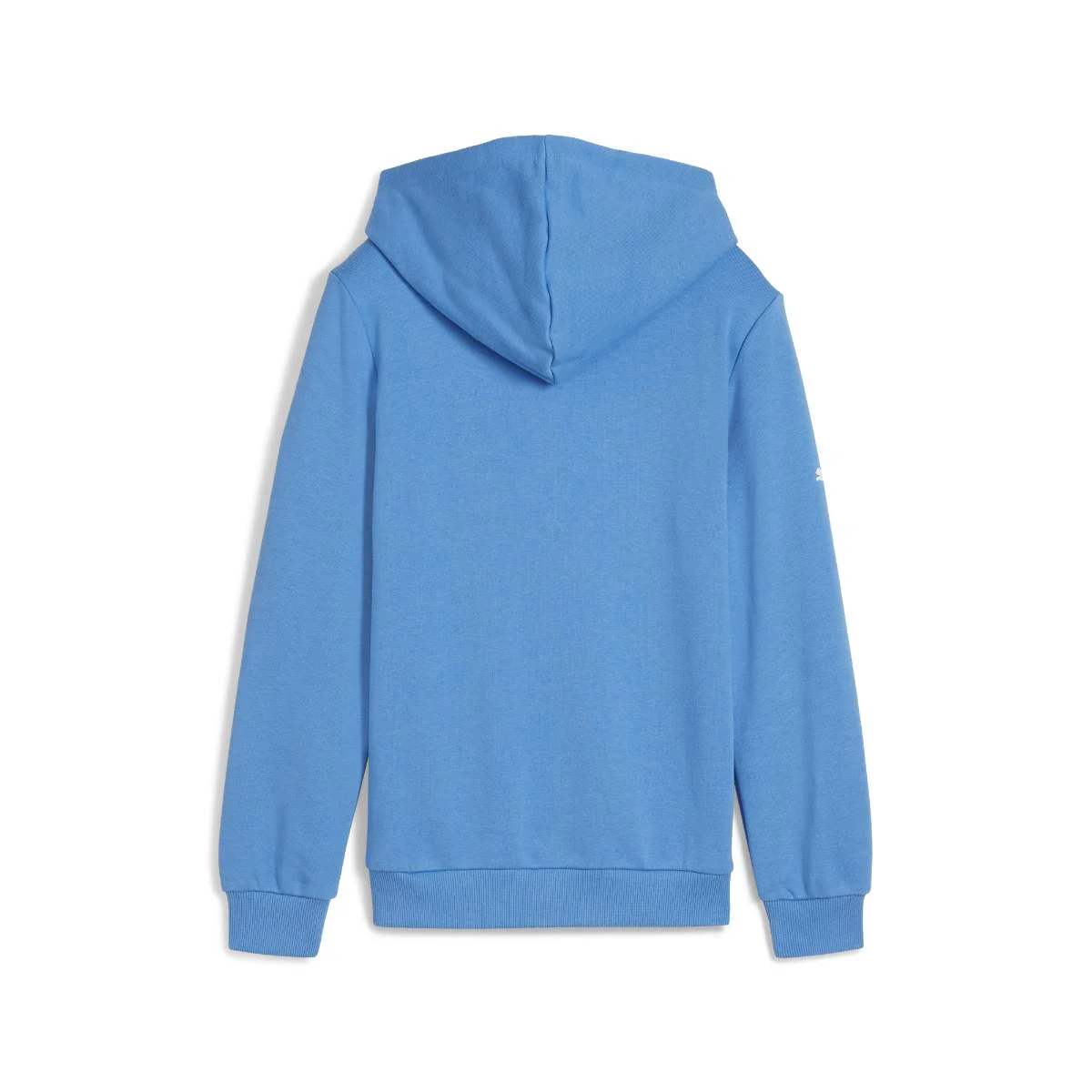 BMW M Motorsport Logo Hoodie Kids