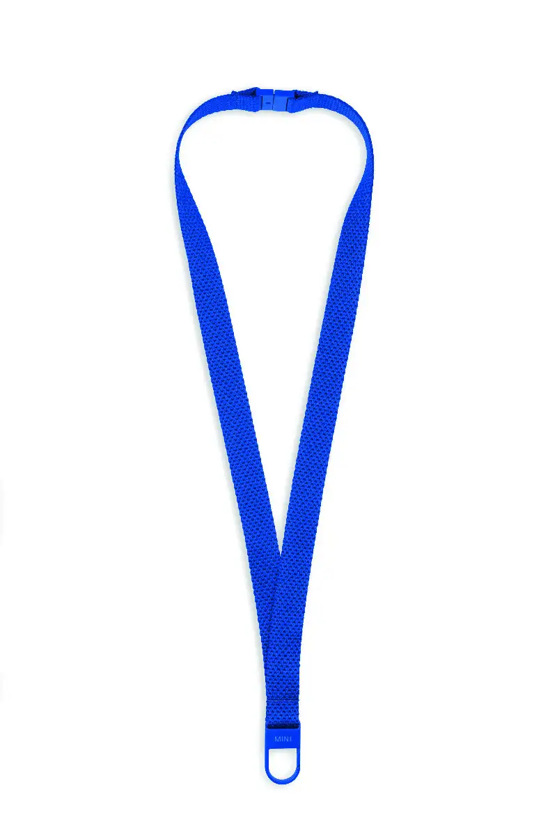 MINI Lanyard Ribbon