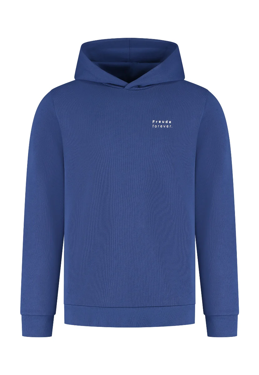 BMW Sweathoodie Logo geprägt unisex blau