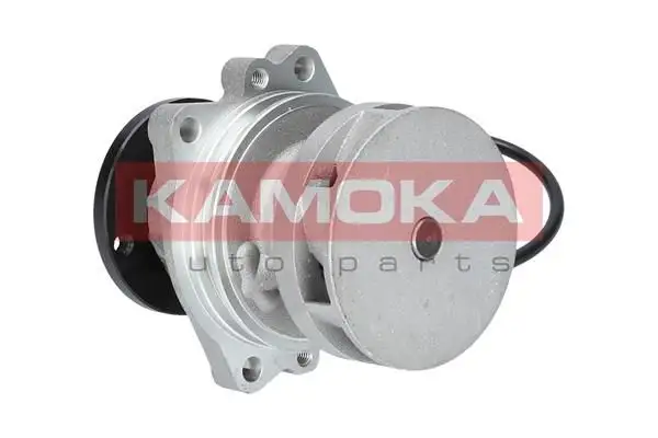 KAMOKA Wasserpumpe 5901779824581