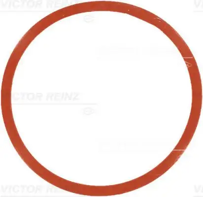 VICTOR REINZ Dichtung, Ansaugkrümmergehäuse IVIZ717754600