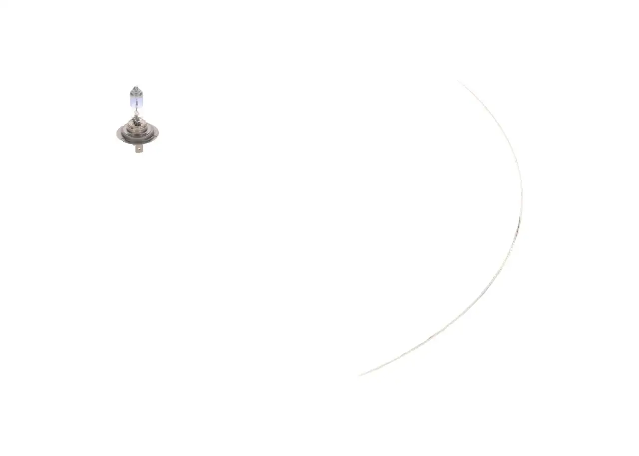 BOSCH Glühlampe 4047026227598