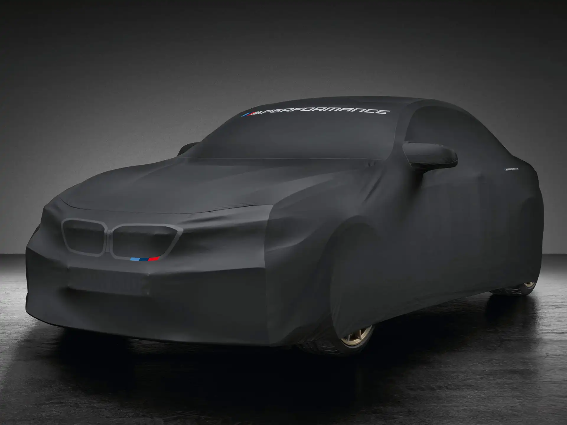 BMW M Performance Indoor Car Cover M2 F87