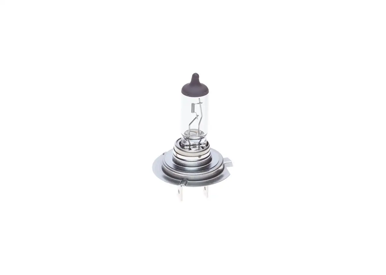BOSCH Glühlampe 3165141228793