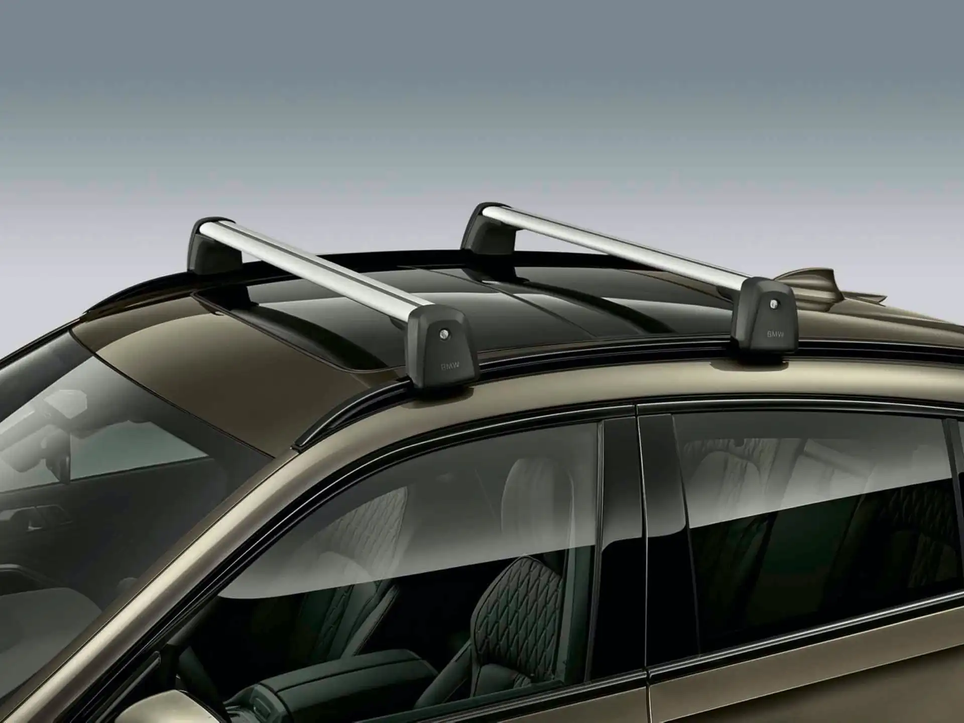 BMW Relingträger Dachträger X6 G06