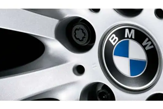 BMW Satz Radschraubensicherung M12 gefräster Kodierung
