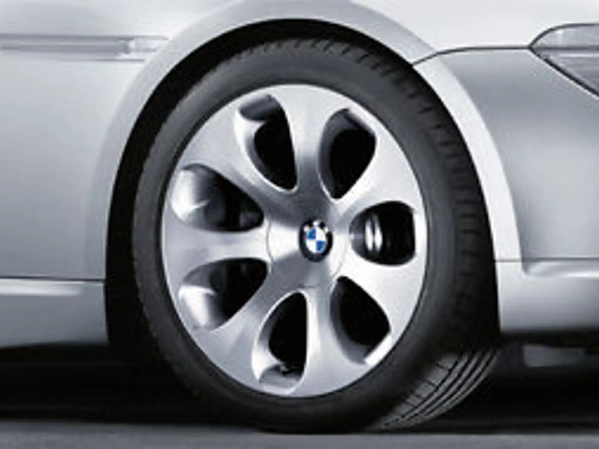 BMW Alufelge Ellipsoid-styling 121 silber 9Jx19 ET18 6er E63/E64 Hinterachse