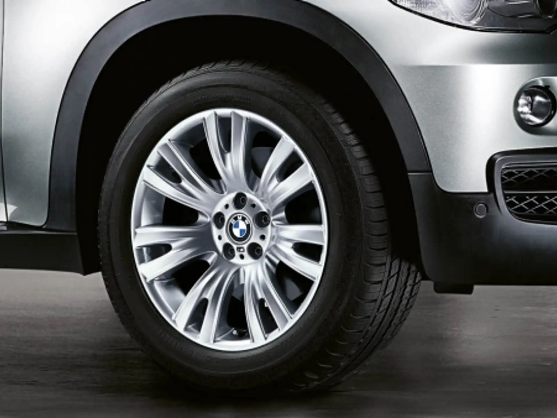BMW Alufelge M V-Speiche 223 silber 10Jx19 ET20 X5 E70 Hinterachse