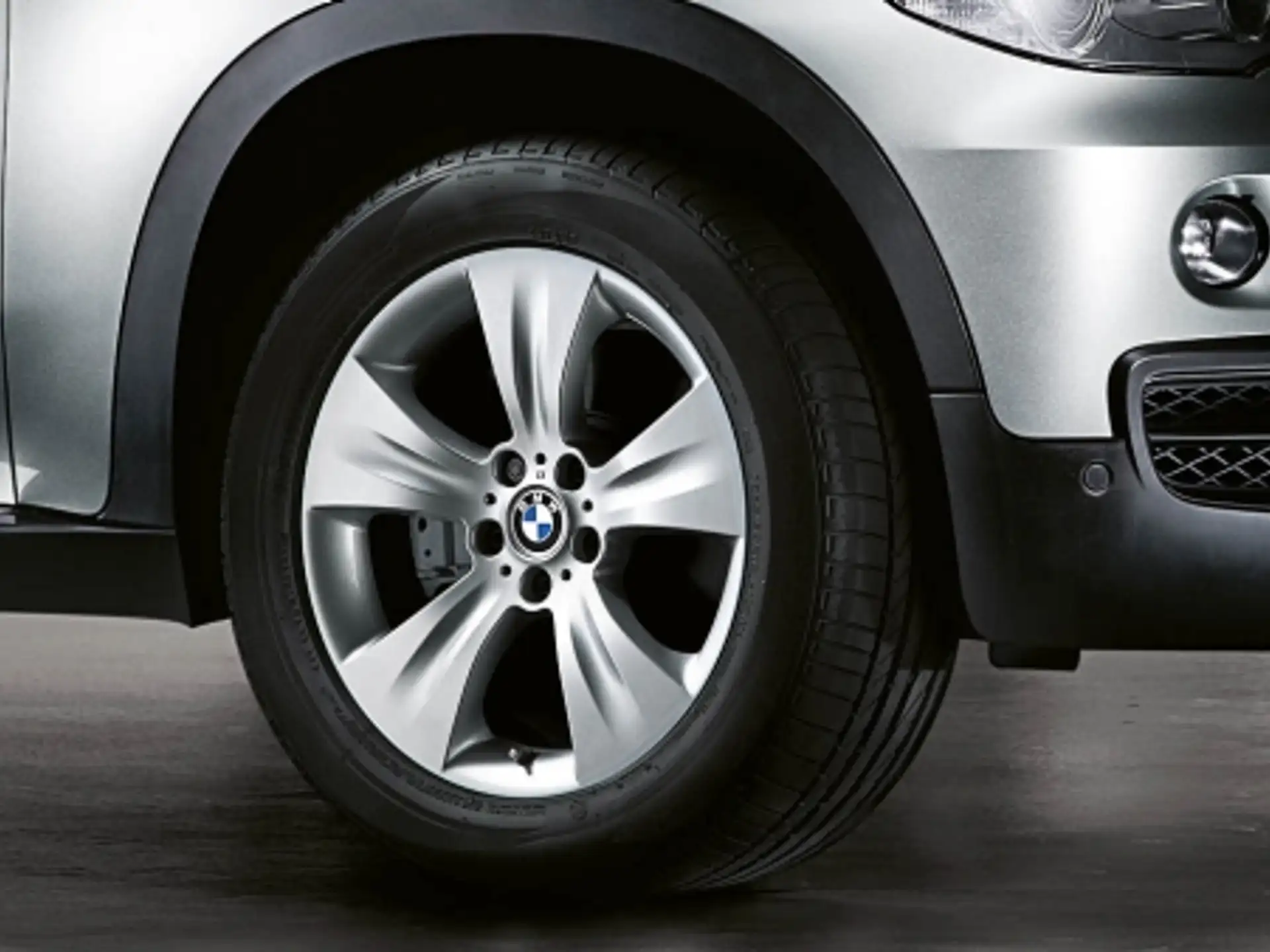 BMW Alufelge Sternspeiche 213 silber 9Jx19 ET48 X5 E70 Vorderachse / Hinterachse