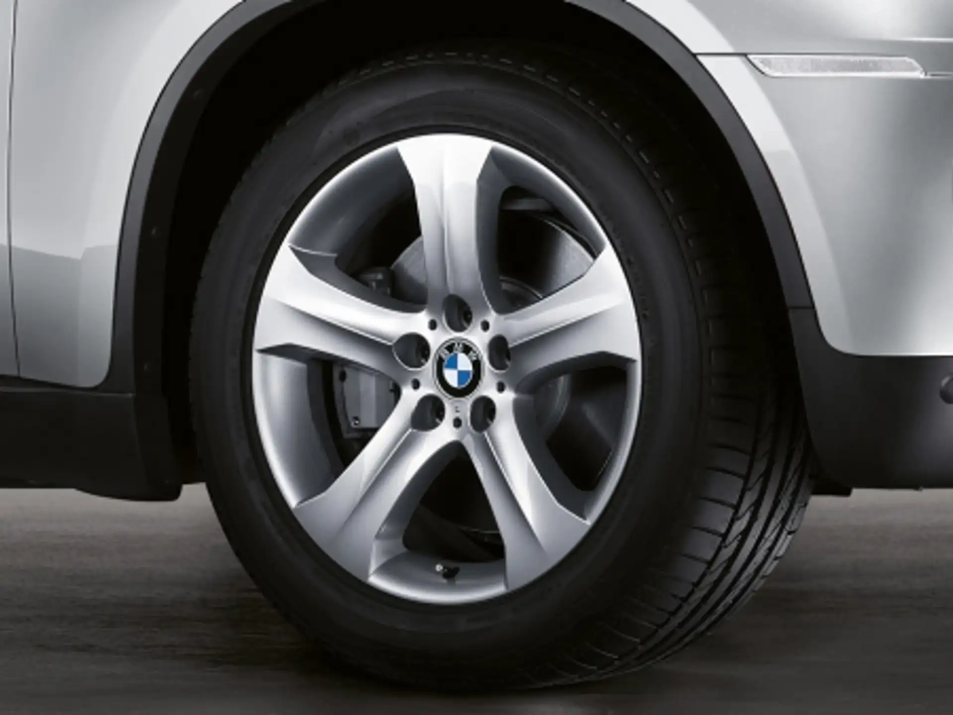 BMW Alufelge Sternspeiche 258 silber 10Jx19 ET21 X6 E71/E72 Hinterachse