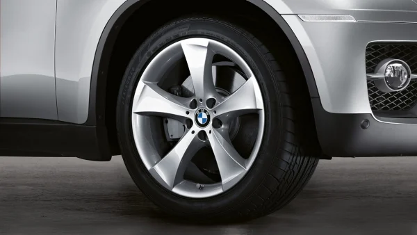 BMW Alufelge Sternspeiche 259 silber 10Jx20 ET40 X6 E71/E72 Vorderachse