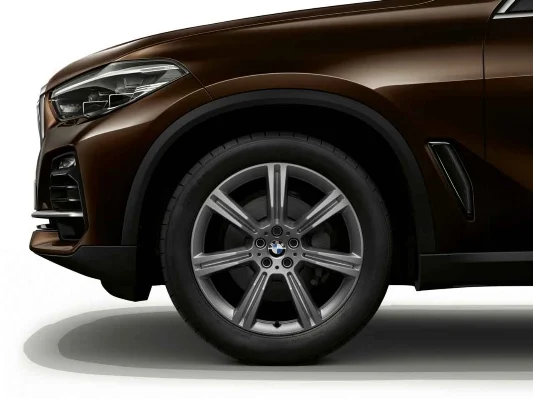 BMW Alufelge Sternspeiche 736 ferricgrey 10,5Jx20 ET40 X5 G05 X6 G06