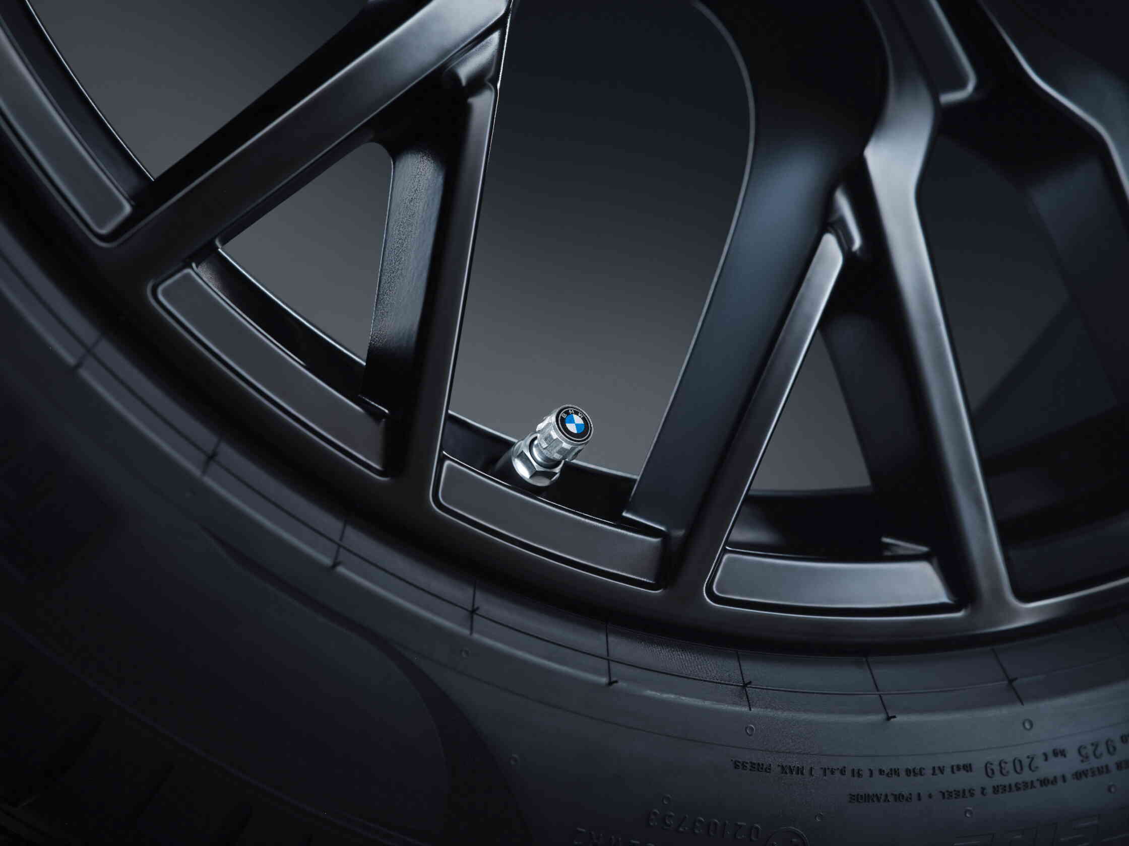 BMW Logo