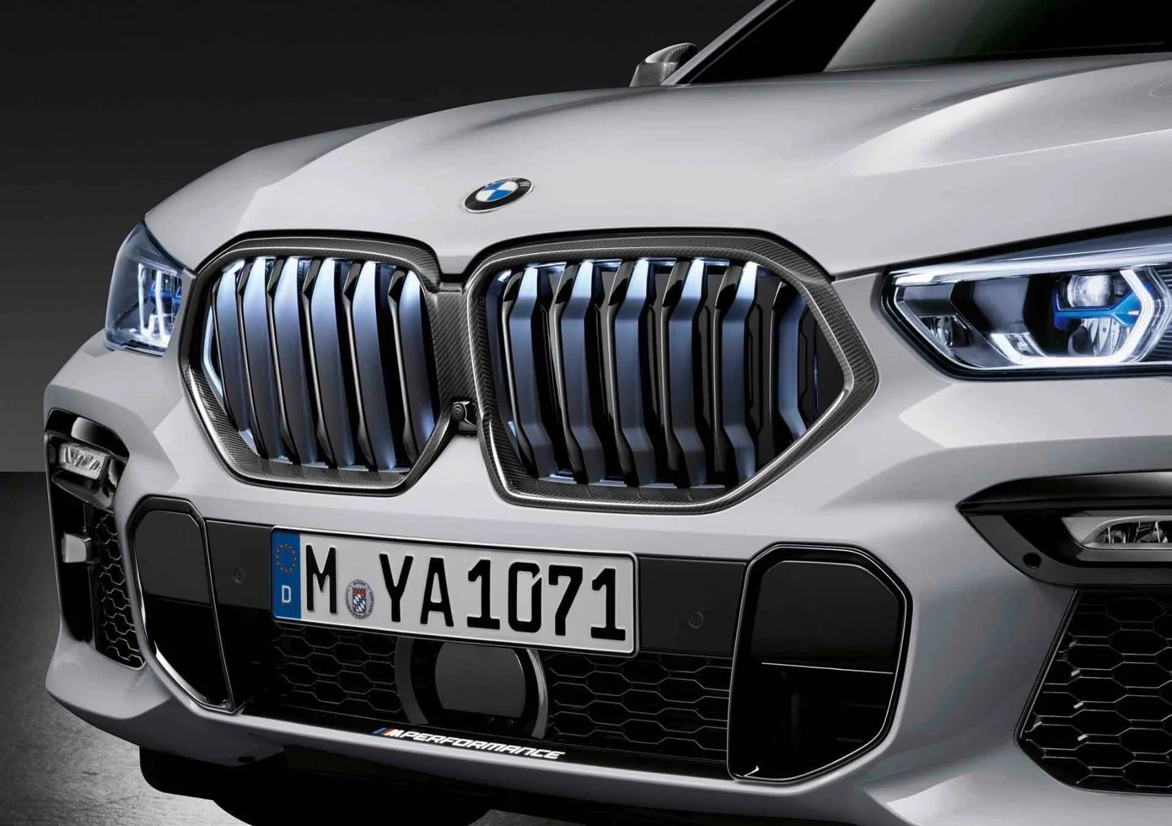 BMW M Performance Frontziergitter Carbon X6 G06