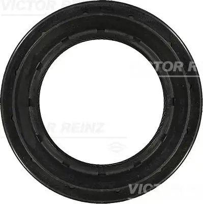VICTOR REINZ Wellendichtring, Differential IVIZ812941200